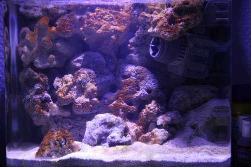 IMG_0353.JPG