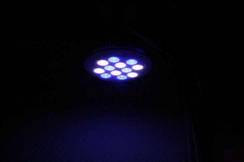 IMG_0352.JPG