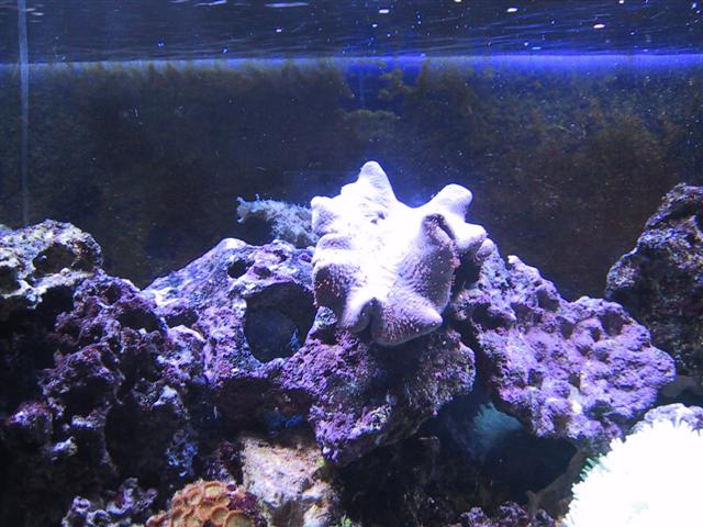 IMG_0050 (Small).JPG