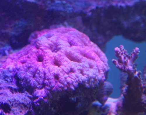 IMG_3138.JPG