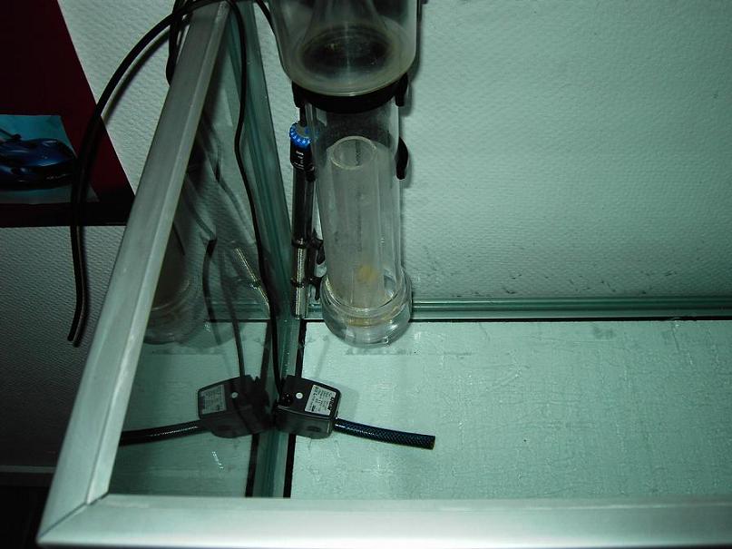 PICT2671.JPG