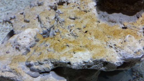 20140314_192836.jpg
