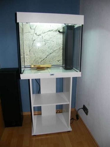 aquarium-juwel-lido-120-aufbau-768x1024.jpg