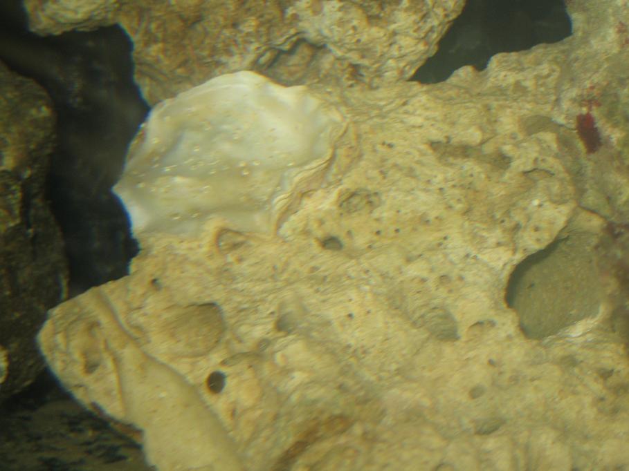IMG_1760_2.JPG
