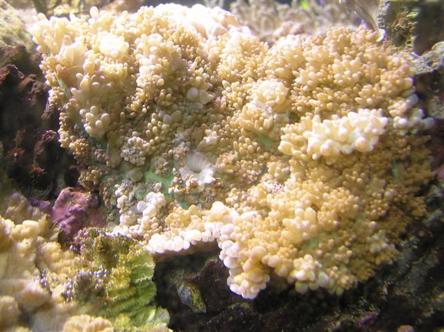 P7170123 (Small).JPG