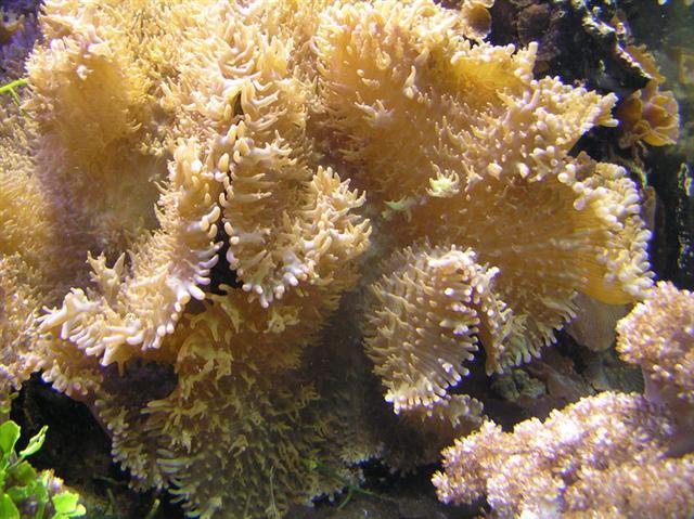 P7170122 (Small).JPG