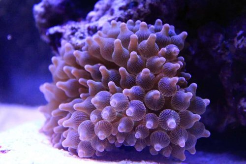 IMG_0186.JPG