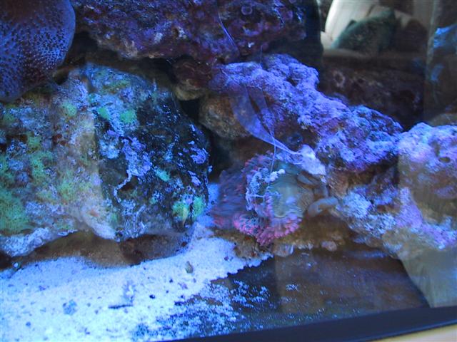 IMG_0088 (Small).JPG