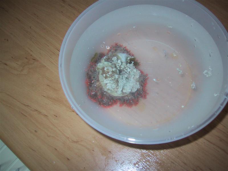 IMG_0091 (Medium).JPG