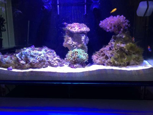 Tank 2 months.jpg