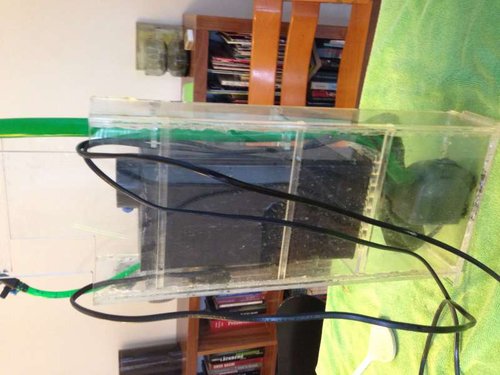 Sump med tunze 9002, ehiem compact 600. Og aquaEL easy <br />Heater 50w.