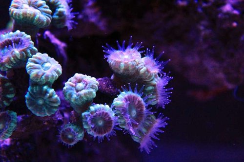 IMG_0238.JPG