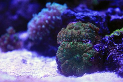 IMG_0264.jpg
