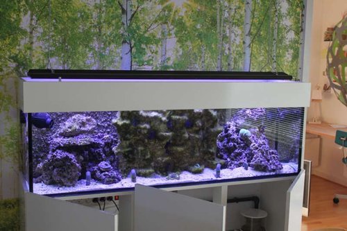 LED 002.JPG