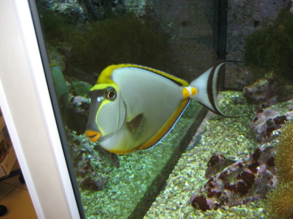 IMG_0573 (600 x 450).jpg