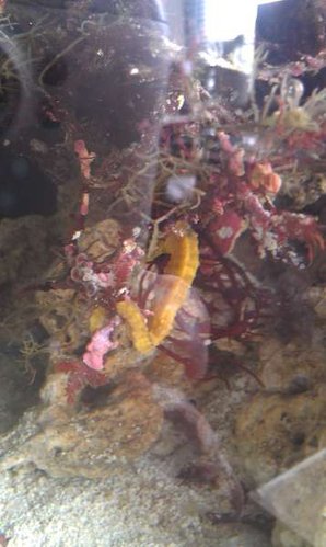 IMAG0676.jpg
