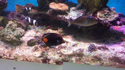 20140419_100525.jpg