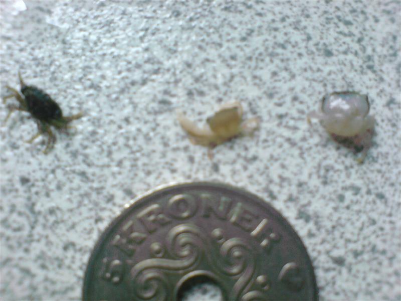 DSC00808 (Medium).JPG