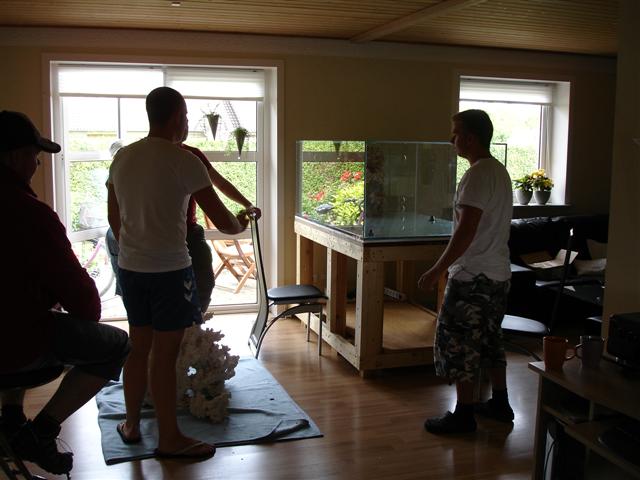 DSC09462 (Small).JPG