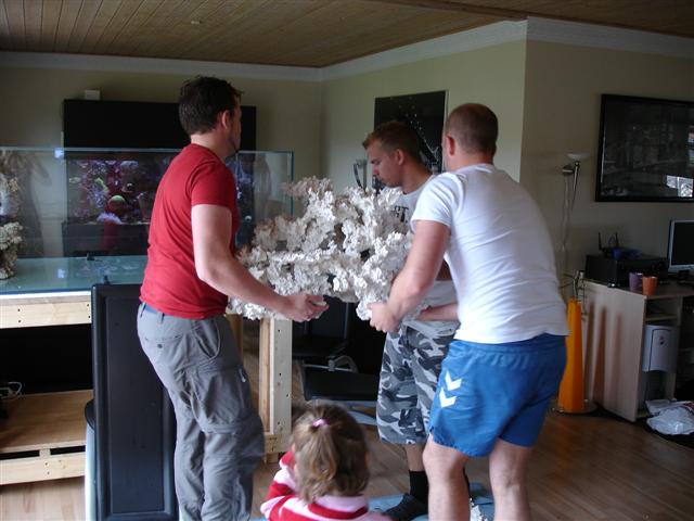 DSC09464 (Small).JPG