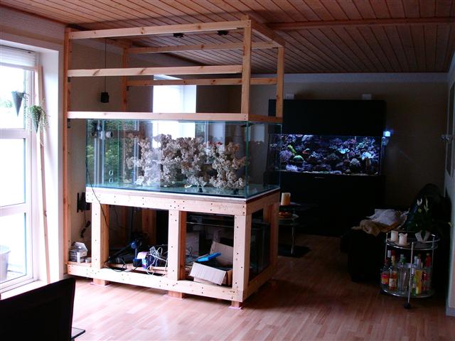 keramikken kom i akvariet :-)