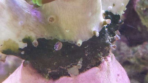 20140424_170611.jpg