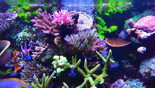 2014-04-26 20.21.18.jpg