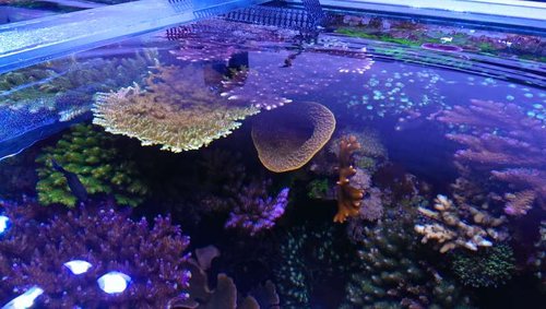2014-04-26 19.10.24.jpg