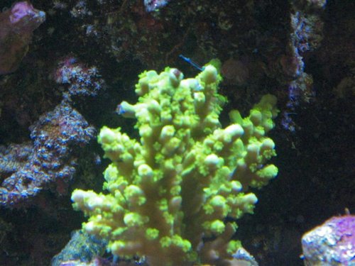 DSCF9643b (Medium).jpg