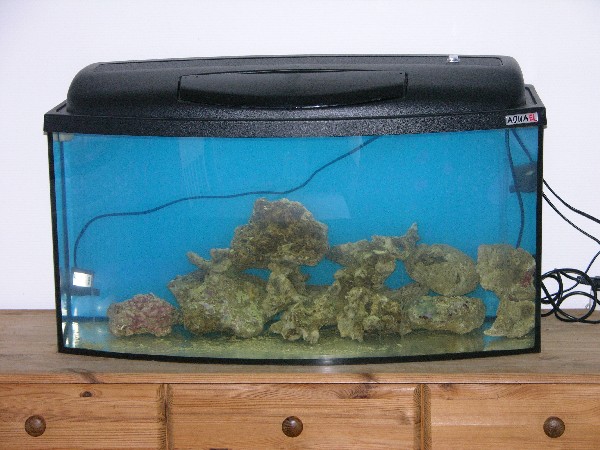 10 kg.jpg