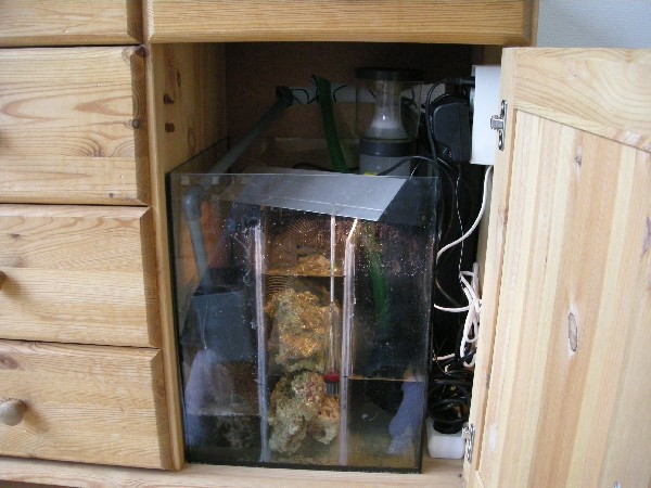 sump.jpg