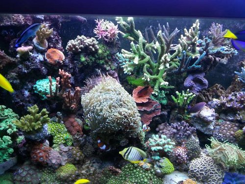 FTS