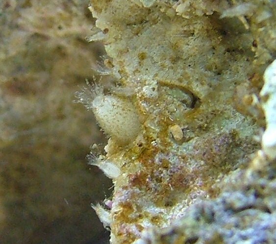 Image1.jpg