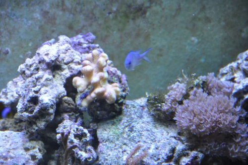 DSC_0392.jpg