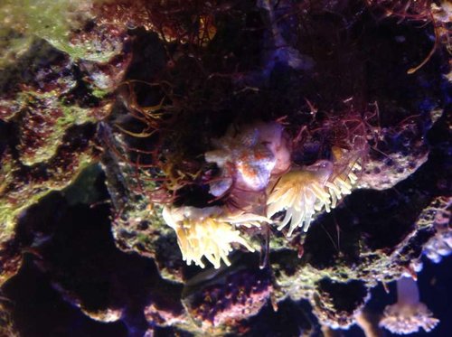 Sorry det er på hovedet?