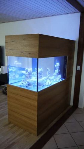 rsz_p1030116.jpg