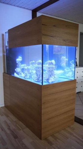 rsz_p1030117.jpg
