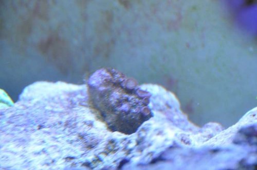 DSC_0427.jpg