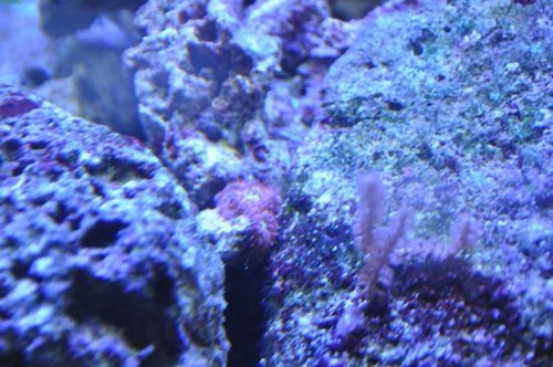 DSC_0429.jpg
