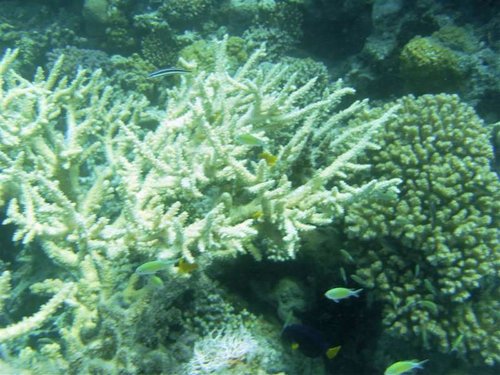 Hurghada 077 (Medium).jpg