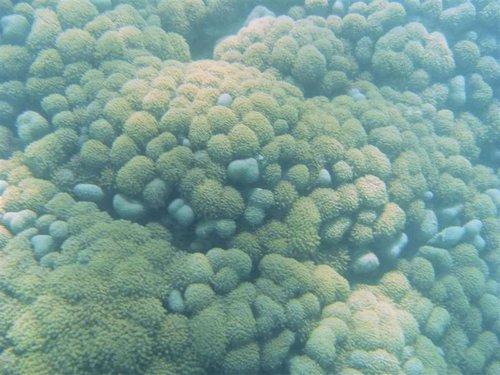 Hurghada 088 (Medium).jpg