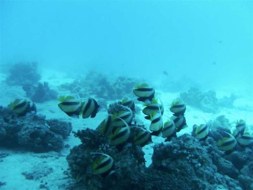 Hurghada 097 (Medium).jpg