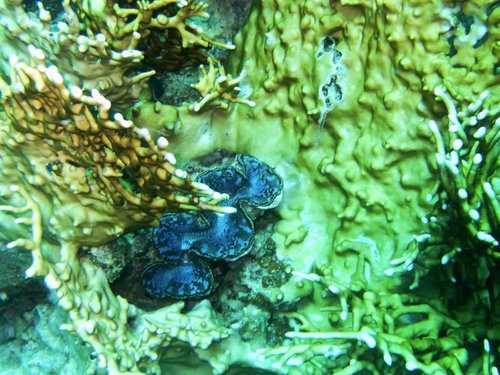 Hurghada 101 (Medium).jpg