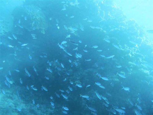 Hurghada 131 (Medium).jpg