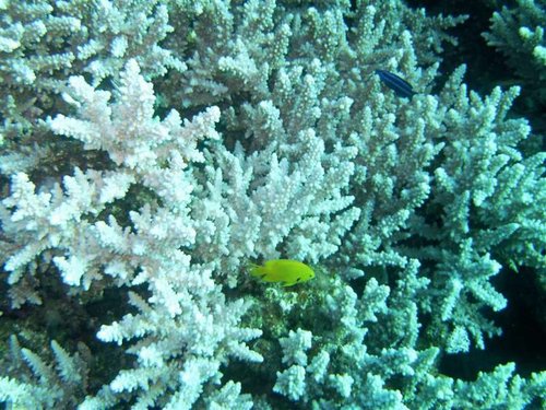 Hurghada 132 (Medium).jpg
