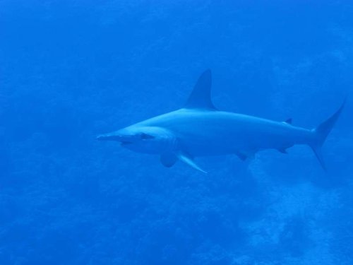 IMG_0375.JPG