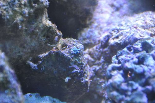 DSC_0040.jpg