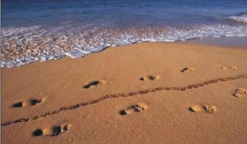 Nøgenbadning er tydeligvis blevet tilladt på Gilleleje strand