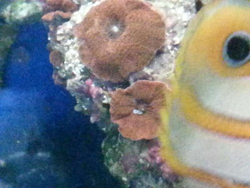 Glem hvad jeg skrev før Det bevæger sig det har trukket sig mere ind