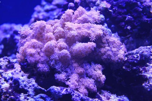 IMG_9505.JPG